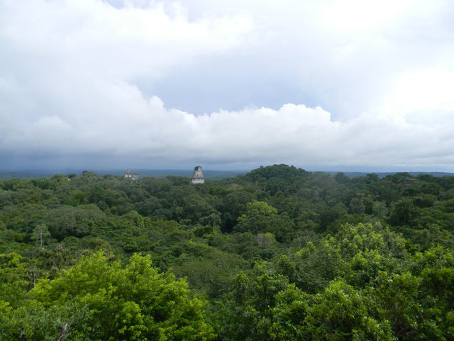 Tikal: The Skyline Above the Canopy