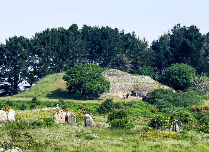 Carnac stones