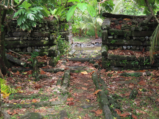 Nan Madol: The Venice Nobody Can Explain Cheaply