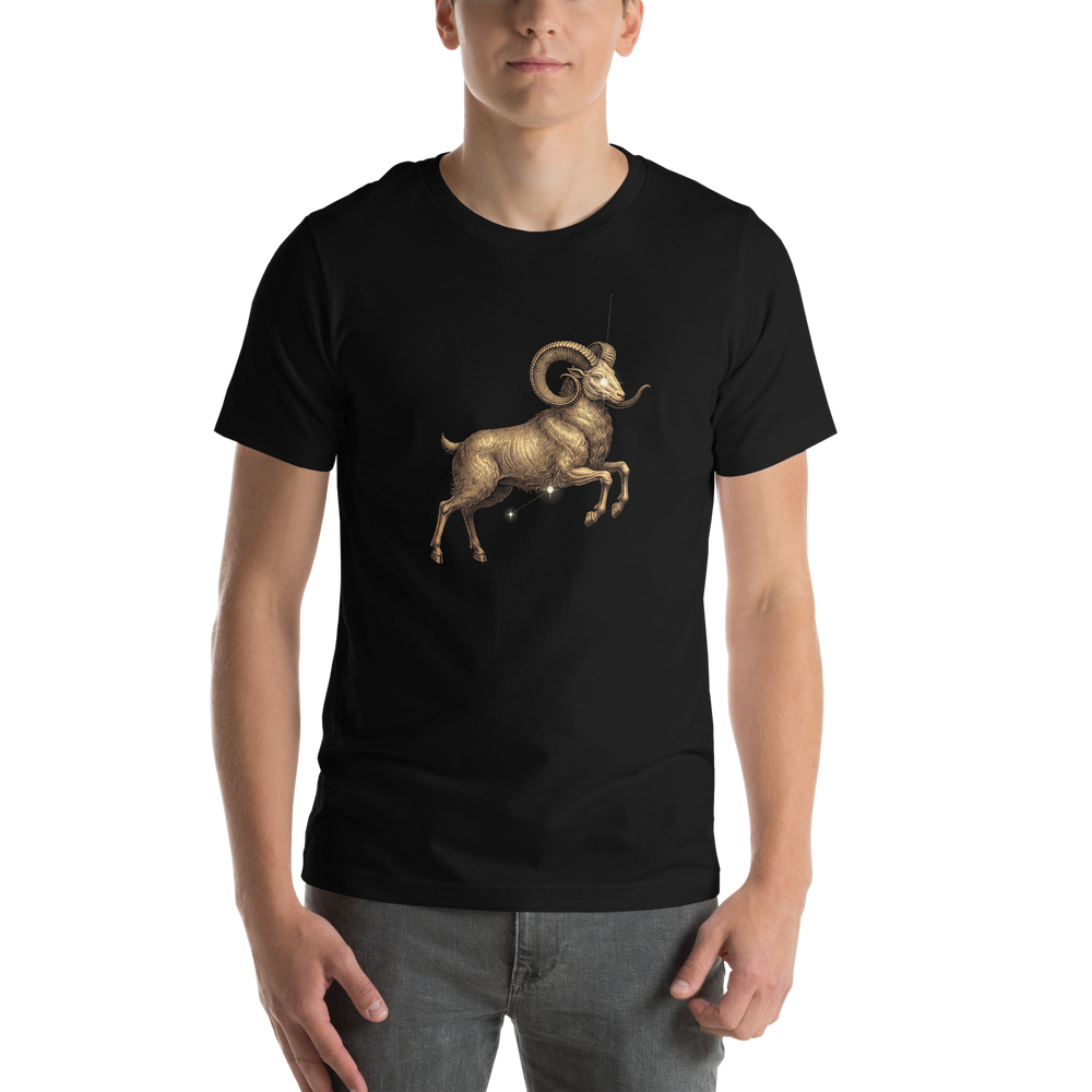 Aries Zodiac T-Shirt | Pyramason