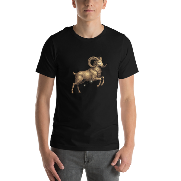 Aries Zodiac T-Shirt | Pyramason